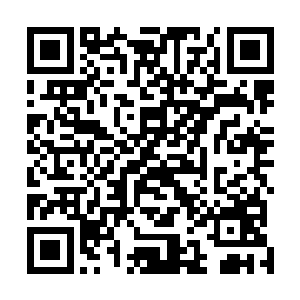 我看到湖面上的确是有什么东西正在朝着我们这边划过来二维码生成