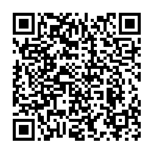 我真是怀疑你们当初给我们的消息是不是就是一出针对我们的阴谋二维码生成