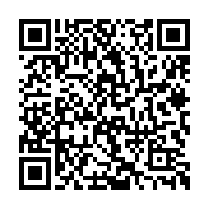 我肯定会把过去受到的所有屈辱从你身上讨回来二维码生成
