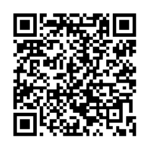 我苗毅本一凡夫俗子…当年老白问我是不是要踏上这条路二维码生成