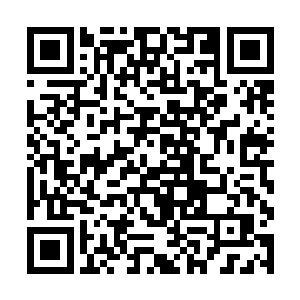 我认为我们的武装力量已经可以与王蕊的力量做抗衡二维码生成