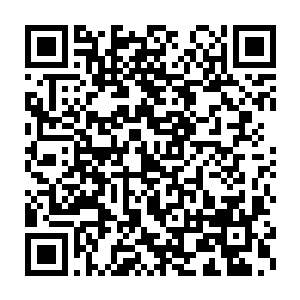我让你将沈美琪用的化妆品全部都取样带回来就是为了找到过敏源二维码生成