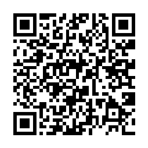 我记得你们当初在大灾变的时候也植入了生命之核吧二维码生成