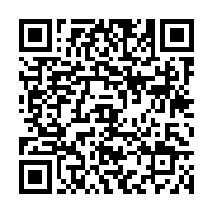 我说很好的意思是既然罗拉是敌对佣兵团的雇佣兵二维码生成