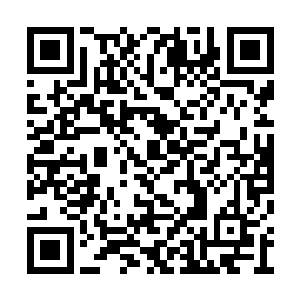 我还是第一次看到有你这样完整灵魂存在的丹药二维码生成