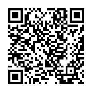 我还是第一次这么近距离地看到如此精彩的大型魔术表演啊二维码生成