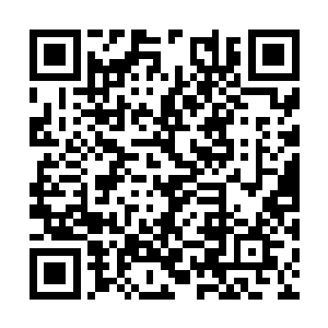 我还要哄着侄儿们一块悄无声息的等着你们吵完呢二维码生成