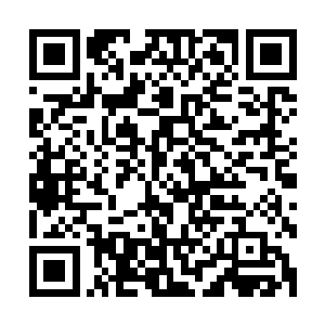 或者说这个世界法则的动物比原本常识的动物都放大了一千倍二维码生成