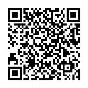 或许他们那个队长查理知道的更多一些……一般的任务二维码生成
