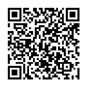 或许几位实力强大的血侍查探到了这边的一丝动静二维码生成