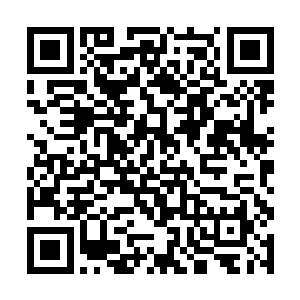 或许己经尿裤子了只是因为海水是湿的发现不了罢了二维码生成