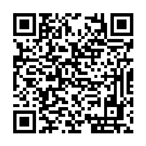 战斗力探测器很快就反馈过来一个数字――一万五二维码生成