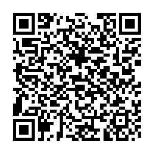 所以丁二狗第二天和仲华一起坐县政府给仲华配置的帕萨特去的白山市二维码生成