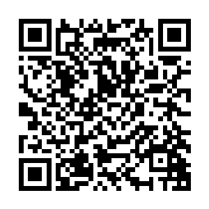 所以也才使得泽口这一对班子搭档从组建的一开始就磕磕绊绊二维码生成