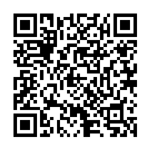 所以他才先把眼前商会那群可能放冷箭的家伙给打趴下二维码生成