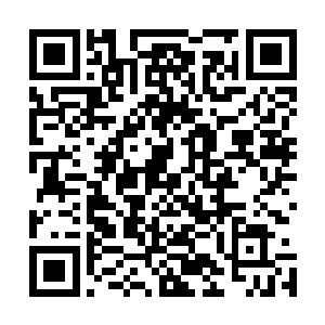 所以他第一次看到布拉德一皮特穿着喇叭裤拉风不已的时候二维码生成