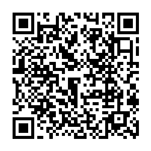 所以凤凰才会十分着急的问大长老和族长到底有什么办法能让雷天安全的进去二维码生成