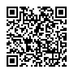 所以在父亲的眼里真正的上古武神力嫡系血脉是他这位大哥二维码生成