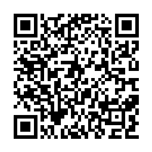 所以尽管之前因为仲华的原因和丁长生接触过的二维码生成