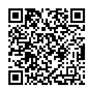 所以当你们穿上婚纱的那一刻就是全世界最美的新娘二维码生成