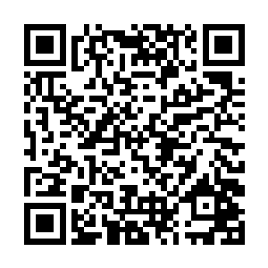 所以才赤夜楼主死的时候他们才会如此的无助和绝望二维码生成