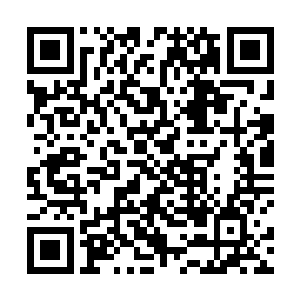 所以杨家感觉到如果他们对太虚宗的推测一切属实的话二维码生成