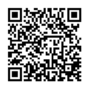 所以绿草门的任务里面就有调查这些人和杀死这些人的任务二维码生成