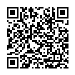 所以苏落就故作很轻松很自信的样子开始镶嵌宝石二维码生成