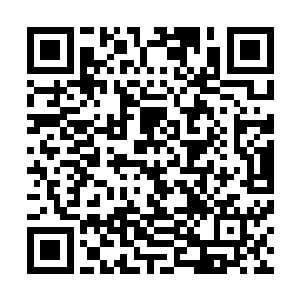 所以这一次他罕见的没有在楚旬的命令下便激射出一根树枝二维码生成