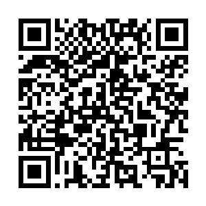 所以这一次如果拿不到血色萌种……情况将会变得越发复杂二维码生成