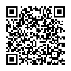 所以风天翔决定让刘兵等人继续监控猎豹组织的行动二维码生成