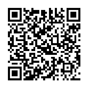 所有妖皇境妖禽此时几乎已经失去了向凤凰动手的勇气二维码生成