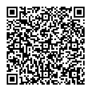 所有智慧种族的生命都不可能通过没有节制的自我毁灭和自相残杀的方式来让某个个体变得越来越强大二维码生成