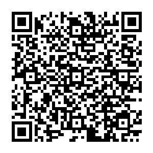 所有有经验的秘社分子都会优先用他们的子弹照顾那个试图用火焰喷射器烧他们的家伙二维码生成