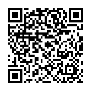 手脚并用连滚带爬的了山……真让杨晨怀疑自己没有杀他二维码生成