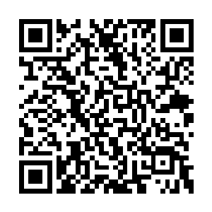 手腕的剧痛在提醒着王金顺眼前的一切不是做梦二维码生成