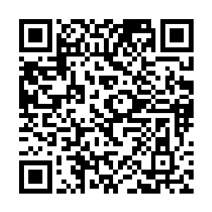 才仅仅是大圆满一星啊……所以这么容易就被人杀了二维码生成