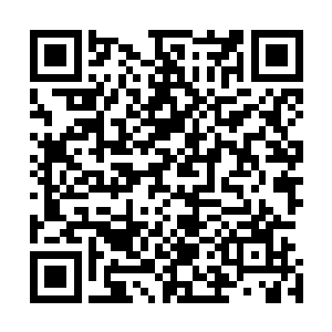 才将怒焰巨龟的魔兽血脉等级和赤焰狮王排在了同一个级别二维码生成