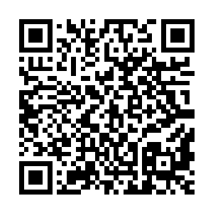 把你的第一样器官都掏出来给你看看――你以前一定没有见过吧二维码生成