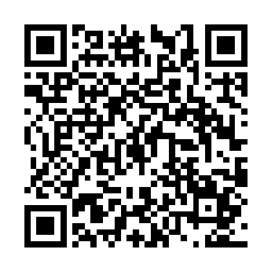 把原本打算推迟的格斗训练重新安排了在了日程内二维码生成