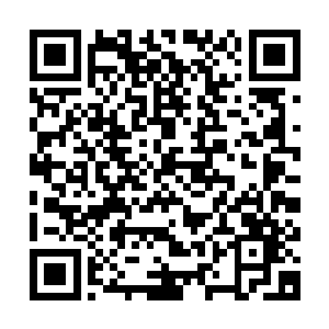 把战如意推到前台不就是因为战如意的体貌特征很明显能诱敌么二维码生成