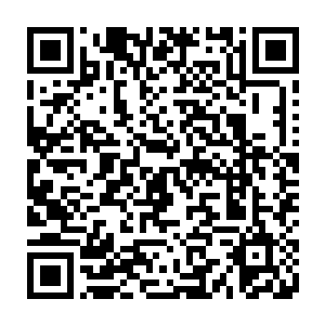 把这次前两册的稿酬用大家的名义捐给信天助学之类的很靠谱的公益机构二维码生成