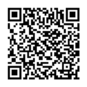 担心的是那帮上次去送行羞辱苗毅的权贵家商户二维码生成