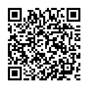 拦路的自然是德正和法正……今日他们兄弟已然在此折了面子二维码生成