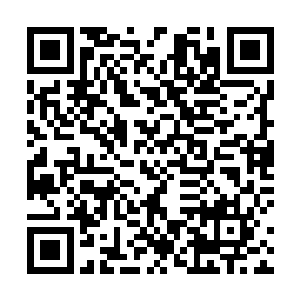 指的就是天桥境以下的人实力再强也和蝼蚁没什么区别二维码生成