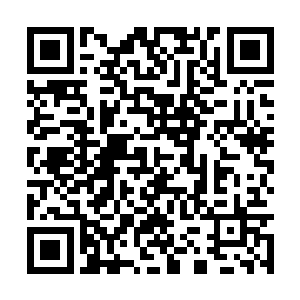挥舞皮鞭逞凶卖狠偶尔拍拍马屁才是他们所擅长的二维码生成