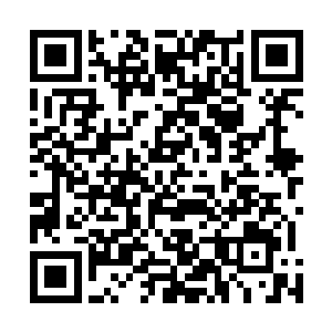 据说队长皮野绫为了犒劳大家还约了几个女粉丝出来……二维码生成