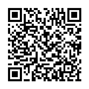 接着小粉拳就在胖子那肉乎乎的身上招呼了起来二维码生成