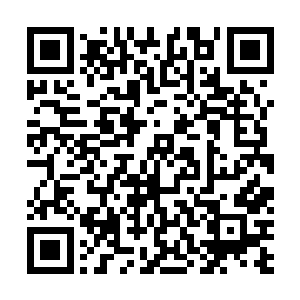 提供绿色蔬菜――切萨雷有时会开车去镇上的意大利餐厅二维码生成