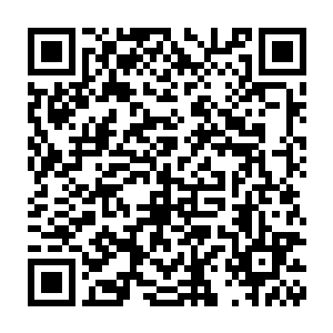 搞研究的医学研究者每天要杀掉多少只小白鼠和其他做实验的动物二维码生成